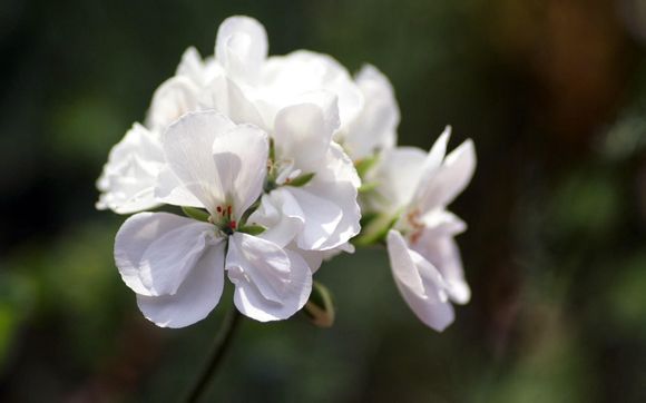 春季开学宣传标语(春季开学宣传标语口号)